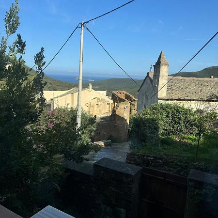 Joli T2 In Cap Corse Apartment Ersa Bagian luar foto